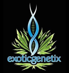 Exotic Genetics